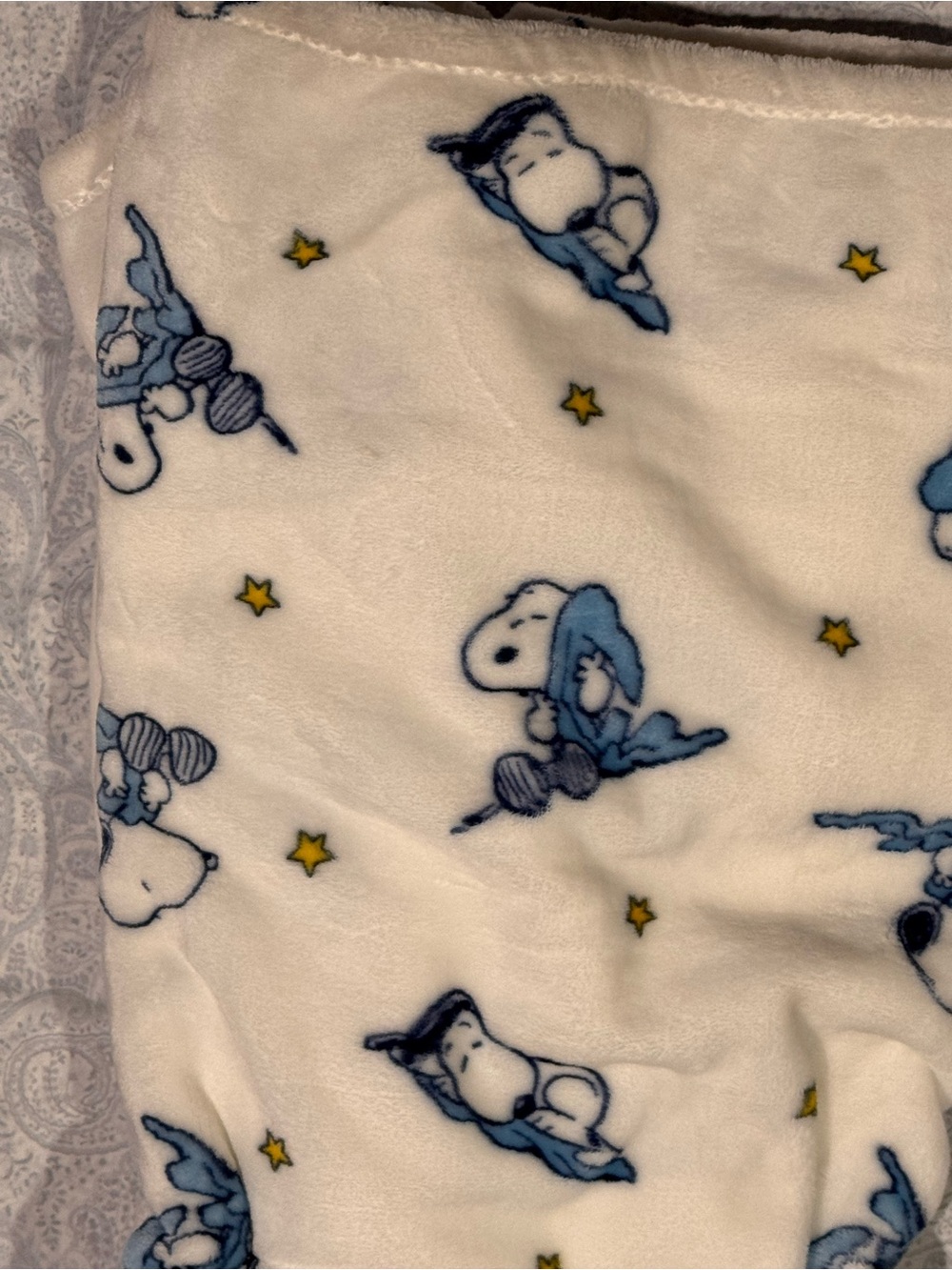 Peanuts Snoopy Super Plush Thick Oversized Throw Blanket - Picture 4 of 5